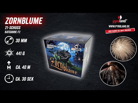 Zornblume