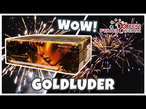 Goldluder